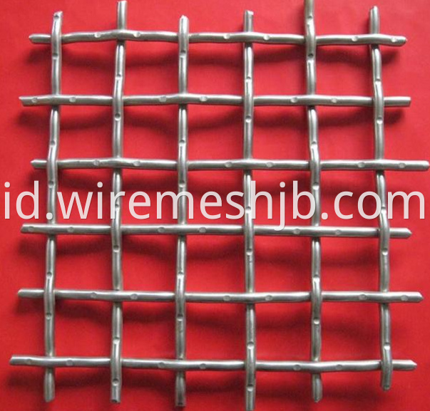 SS Wire Mesh2